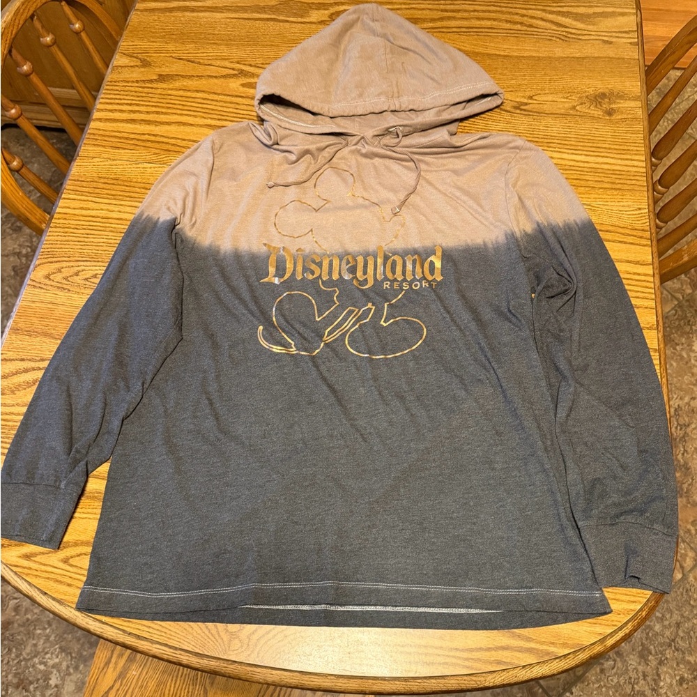 Disney brand DisneyLand resort hooded tshirt
